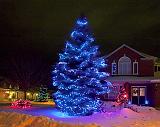 Christmas Lights_12107